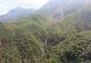 南望山