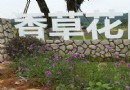 香草花田