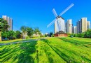 關山荷蘭風情園