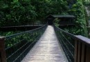 璧合橋
