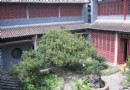 蕲春藥王谷