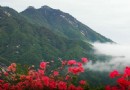 天馬寨