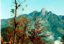 青苔關風景區