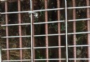 一步難行