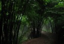 鳳棲山