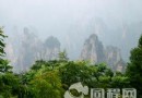 八大公山自然保護區