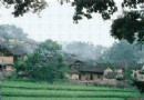 都羅寨