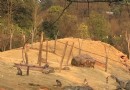 衡陽生態公園