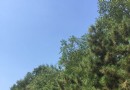 黃草鎮金牛島