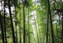 南山瀑布