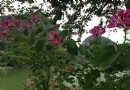 玉田湖風景區