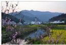 浙源龍天塔