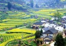 汪槎村