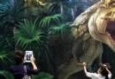 3D立體畫游覽