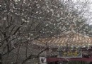 梅關古驿道