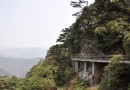 十裡杜鵑長廊