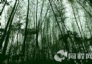 黃洋界
