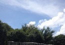 桂林植物園