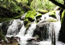 阿夏幽谷
