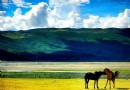 茶馬古道美泉馬場