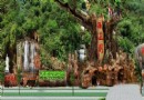 西游洞