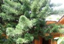 下山口普陀泉SPA溫泉度假村