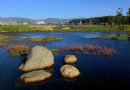 洱海月濕地公園