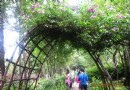 上關花公園