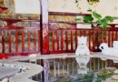 麒麟溫泉spa