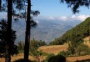 松山