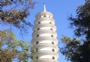 來鳳山森林公園