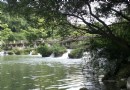壩上橋