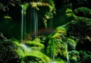 紫江地縫