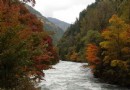 相思河