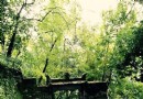 天台山伍龍寺