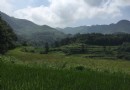 天樓山