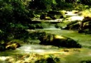 雷公山國家森林公園