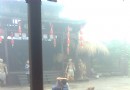 興龍園魅力鎮遠篝火晚會