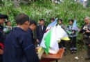 平岸布依寨