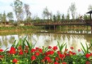 龍橋百花洲