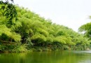 佛寶森林公園