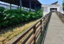 川軍抗戰館