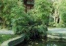 竹文化陳列館