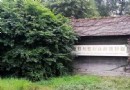 鹿野苑私立石刻藝術博物館