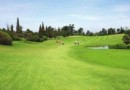 永康森林公園