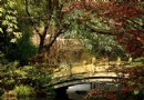 易園園林藝術博物館