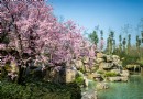 秀麗東方