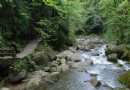 三潭霧泉