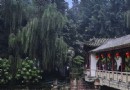百花潭公園