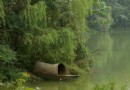 浣花溪公園